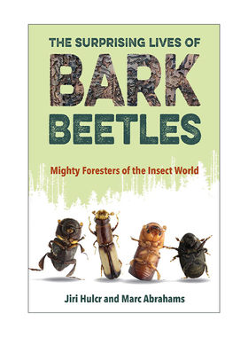 英文原版 The Surprising Lives of Bark Beetles 树皮甲虫的奇异生活 了不起的森林昆虫 精装 英文版 进口英语原版书籍