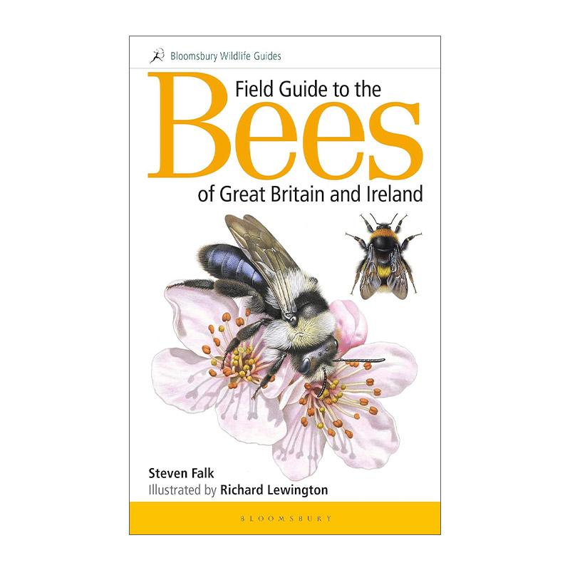 英文原版 Field Guide to the Bees of Great Britain and Ireland 英国及爱尔兰蜜蜂类野外指南 英文版 进口英语原版书籍