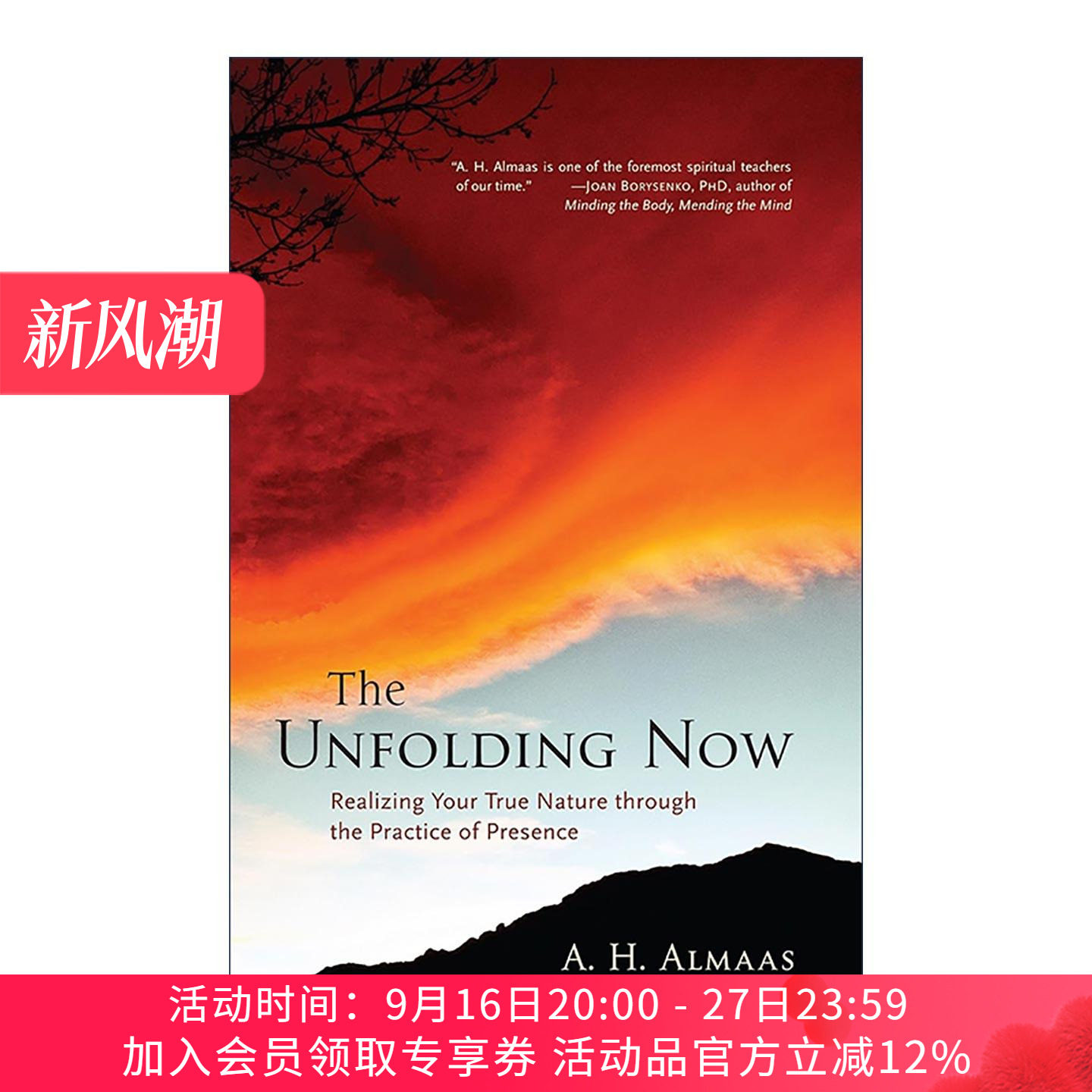 英文原版 The Unfolding Now 展开现在 通过存在实践来认识你真实本性 钻石途径创始人阿玛斯 英文版 进口英语原版书籍