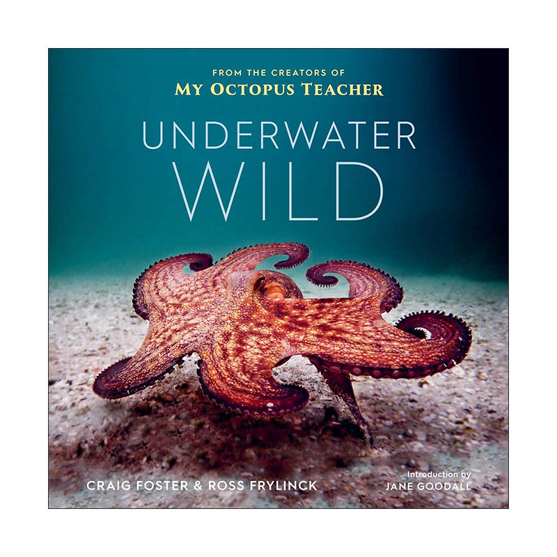 英文原版 Underwater Wild 狂野蔚蓝 章鱼老师的非凡世界 精装 Netflix热门同名纪录片幕后制作人Craig Foster 进口英语原版书籍