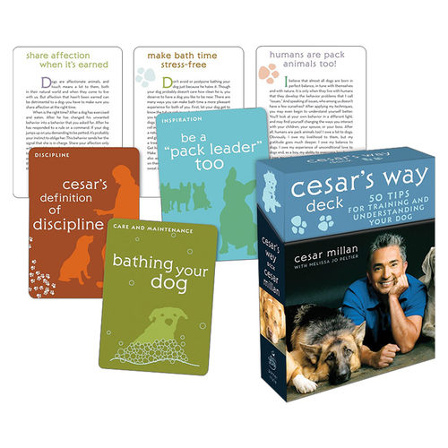 英文原版 Cesar's Way Deck 训练和理解你的狗的50个技巧 Cesar Millan 英文版 进口英语原版书籍