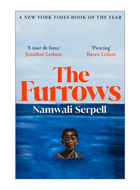 皱纹  英文原版 The Furrows 亚瑟·克拉克奖作家Namwali Serpell 纽约时报2022十大好书 英文版 进口英语原版书籍