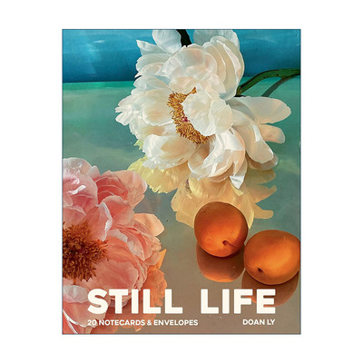 英文原版 Still Life Notecards 20张记事卡和信封 Doan Ly摄影作品卡 英文版 进口英语原版