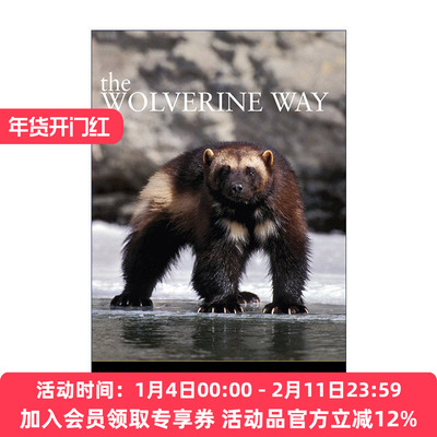 英文原版 The Wolverine Way 貂熊之路 全球变暖 野生动物保护 Douglas H. Chadwick 英文版 进口英语原版书籍