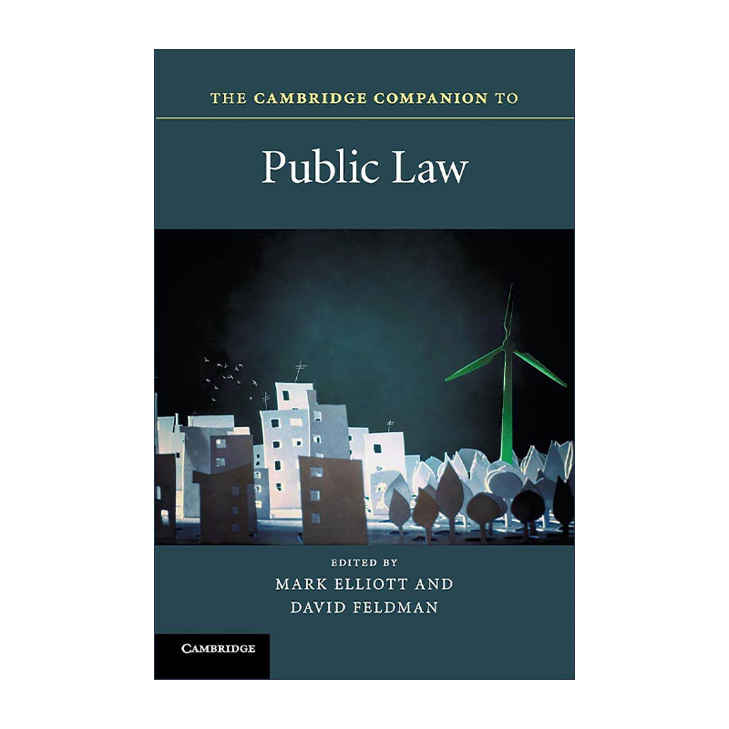 英文原版 The Cambridge Companion to Public Law 剑桥公法指南 剑桥法律指南系列 英文版 进口英语原版书籍