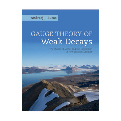 弱衰变规范场论  英文原版 Gauge Theory of Weak Decays Andrzej J. Buras 精装 英文版 进口英语原版书籍