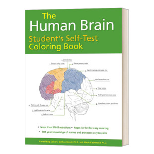 Student 书籍 进口英语原版 Book Human Brain 人体大脑学 Self 英文版 英文原版 Test 学生自测上色书 Coloring