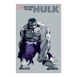 绿巨人 Jeph Sale 英文原版 浩克 进口英语原版 英文版 Loeb 书籍 Tim 漫威漫画 Hulk