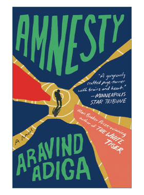 赦免  英文原版 Amnesty 阿拉文德阿迪加 英文版 进口英语原版书籍