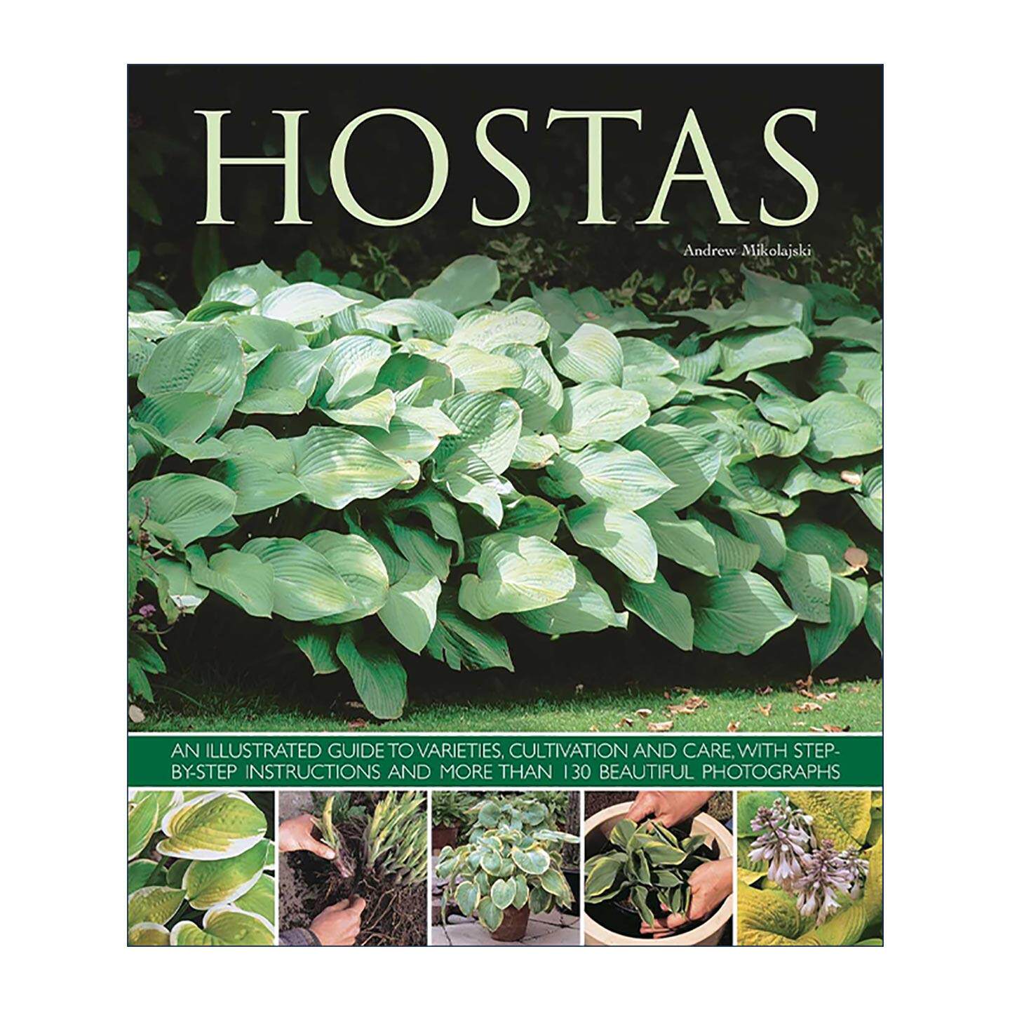 英文原版 Hostas 玉簪属植物图鉴 品种 栽培 养护一步图解 英文版 进口英语原版书籍