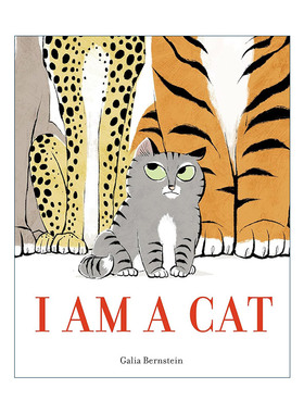 英文原版 I Am a Cat 我是一只猫 儿童精装绘本 Galia Bernstein加利亚·伯恩斯坦 英文版 进口英语原版书籍
