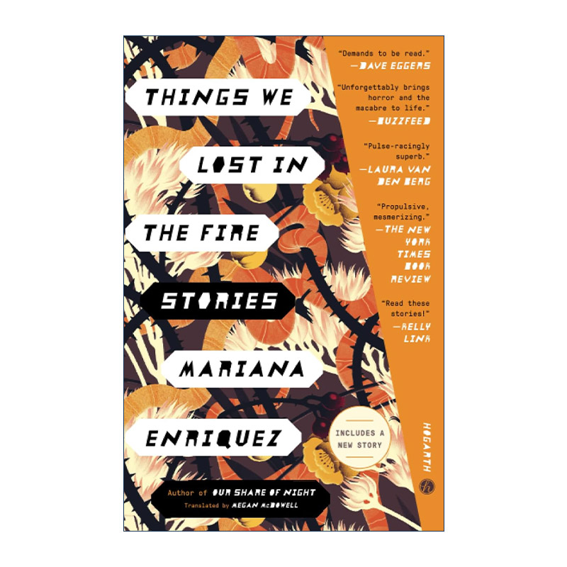 英文原版 Things We Lost In The Fire 火中遗物 玛丽安娜·恩里克斯故事集 英文版 进口英语原版书籍