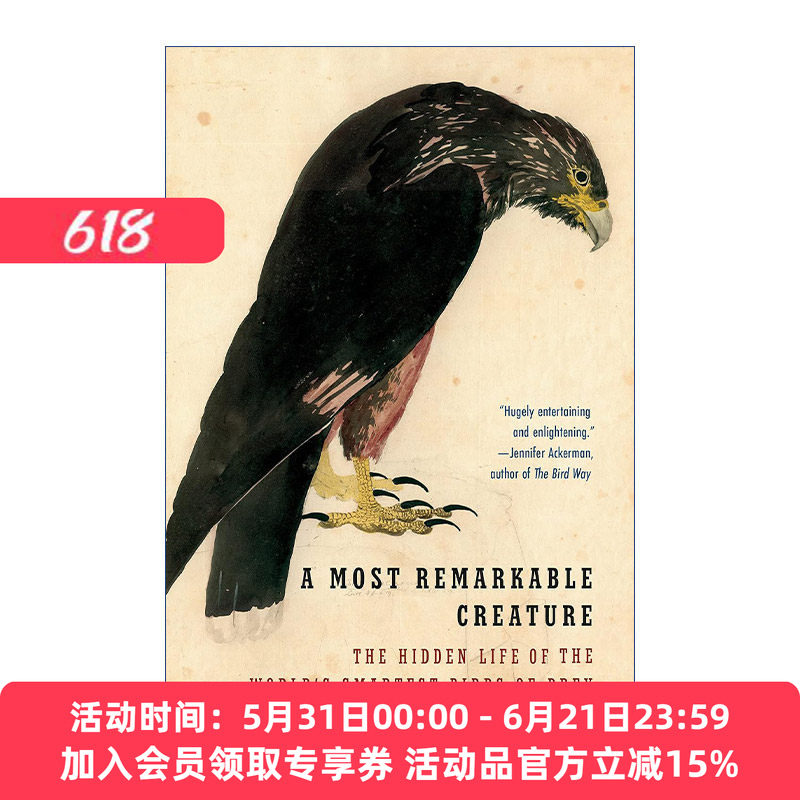 非凡的生物  英文原版 A Most Remarkable Creature 世界上聪明猛禽的隐秘生活 Jonathan Meiburg 英文版 进口英语原版书籍