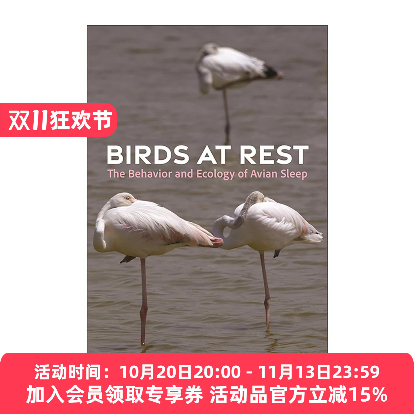 英文原版 Birds at Rest 休息中的鸟 鸟类休眠行为生态学 普林斯顿 Roger F. Pasquier 精装 英文版 进口英语原版书籍