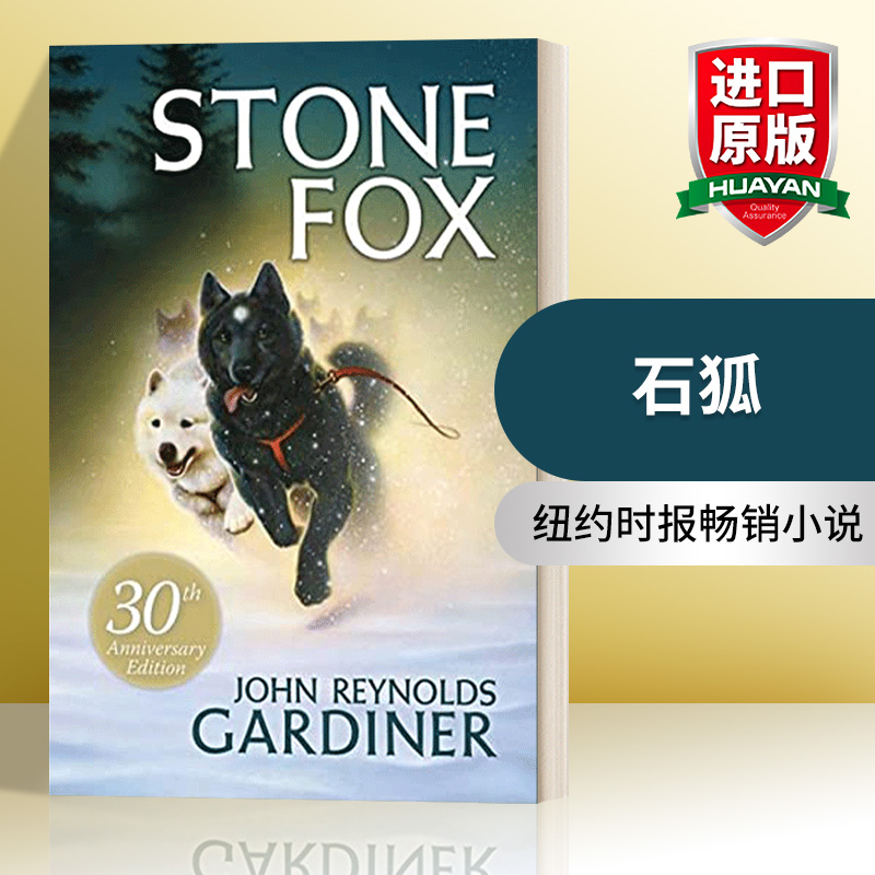 青少年文学小说英文版