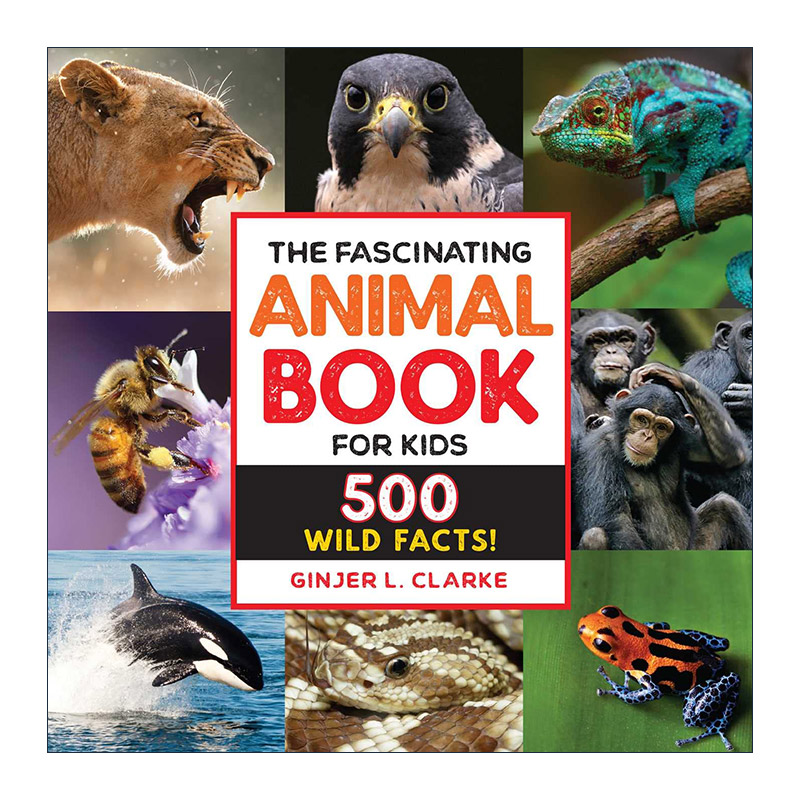 英文原版 The Fascinating Animal Book for Kids 500个关于动物的野生事实 儿童科普 英文版 进口英语原版书籍