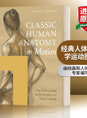 经典人体解剖学运动图典 英文原版 Classic Human Anatomy in Motion 关于运动如何改变人类形象的艺术理解 精装 进口英语原版书籍