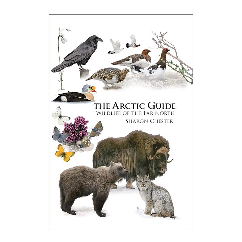 英文原版 The Arctic Guide 北极指南 极北地区野生生物 普林斯顿野外指南 Sharon Chester 英文版 进口英语原版书籍