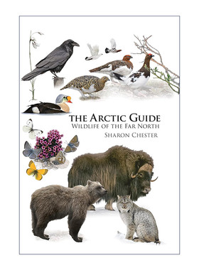英文原版 The Arctic Guide 北极指南 极北地区野生生物 普林斯顿野外指南 Sharon Chester 英文版 进口英语原版书籍