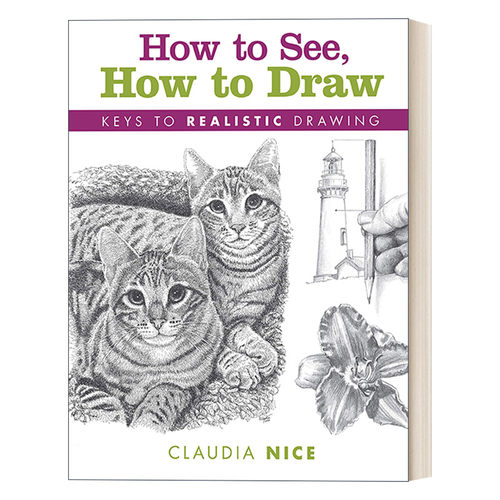 英文原版 How to See How to Draw 如何看 如何画 铅笔素描写实技法 Claudia Nice 英文版 进口英语原版书籍