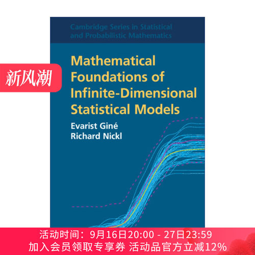 无穷维统计模型的数学基础 英文原版 Mathematical Foundations of Infinite-Dimensional Statistical Models 剑桥统计与概率数学