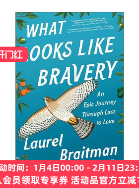 英文原版 What Looks Like Bravery 英文版 进口英语原版书籍