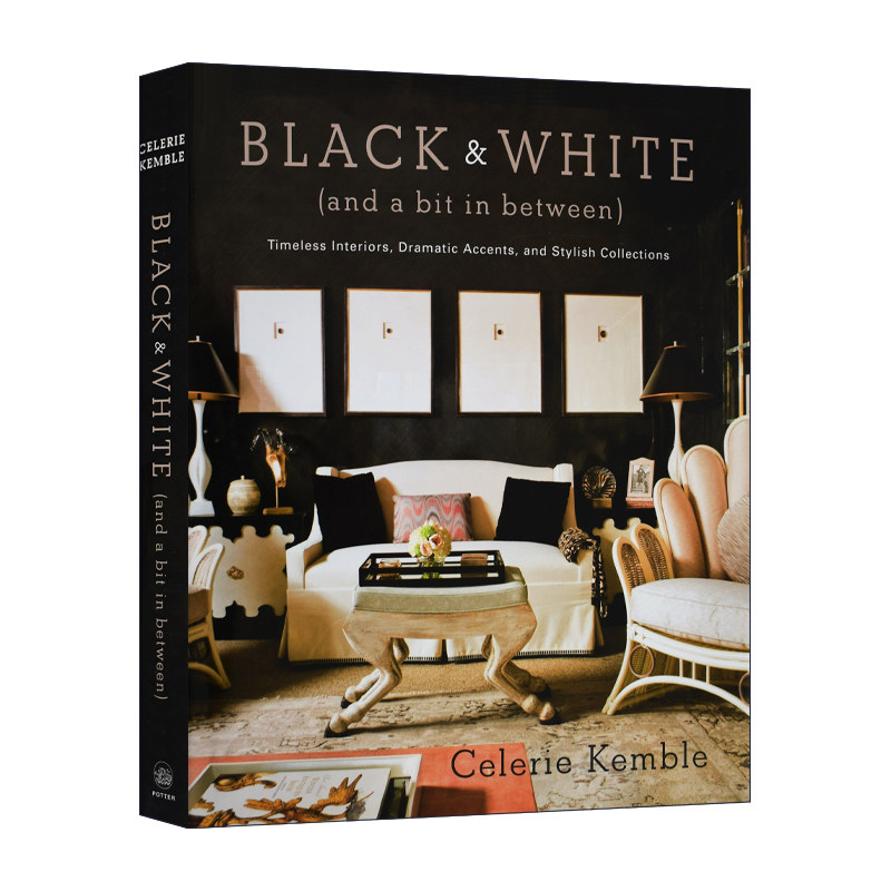 黑色和白色 英文原版 Black and White a Bit in Between 以及两者之间 永恒的内饰 戏剧性的口音和时尚系列 进口英语原版书籍