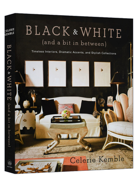 黑色和白色 英文原版 Black and White a Bit in Between 以及两者之间 永恒的内饰 戏剧性的口音和时尚系列 进口英语原版书籍