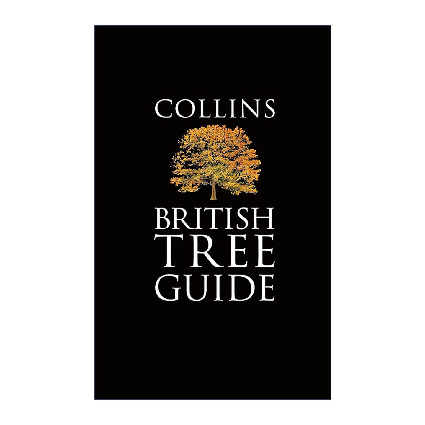 英文原版 Collins British Tree Guide 柯林斯英国树木图鉴 彩色插图 英文版 进口英语原版书籍