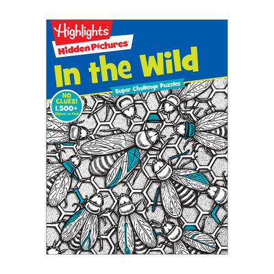 亮点儿童超级挑战隐藏图片系列