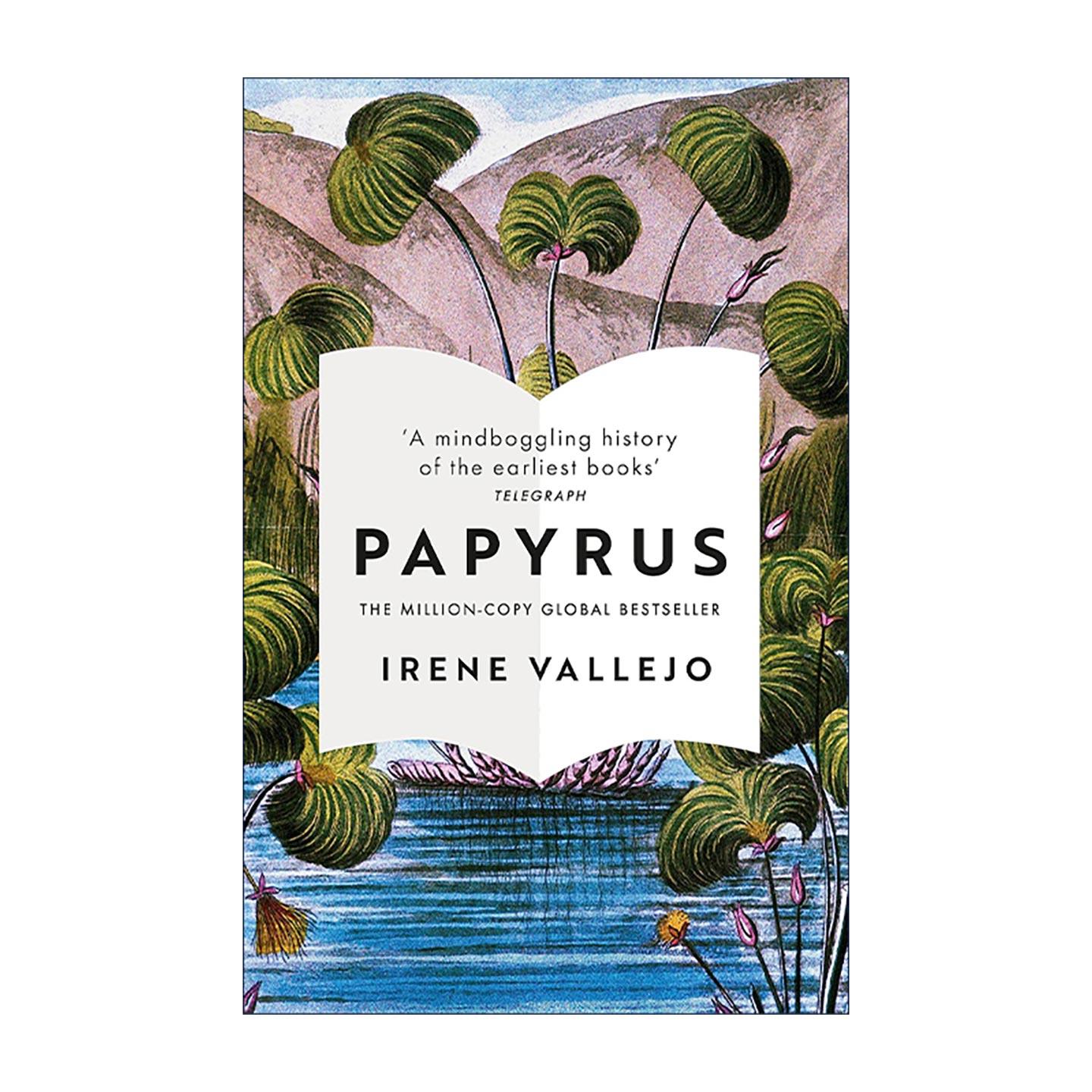 英文原版 Papyrus 书籍秘史 伊莲内·巴列霍 西班牙文学 英文版 进口英语原版书籍