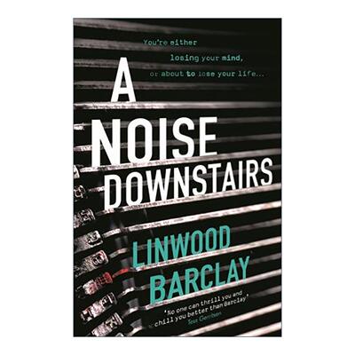 英文原版 A Noise Downstairs 没有人听见 惊悚悬疑小说 英文版 进口英语原版书籍