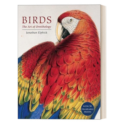 鸟类 英文原版 Birds The Art of Ornithology Boxed Set 鸟类学的艺术 盒装精装 英文版 进口英语原版书籍