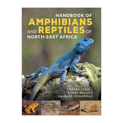 非洲东北部两栖爬行动物手册  英文原版 Handbook of Amphibians and Reptiles Northeast Africa 精装 英文版 进口英语原版书籍