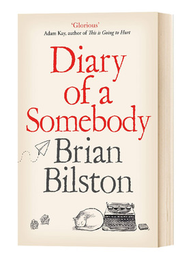 华研原版 英文原版小说 Diary of a Somebody 某人日记  Brian Bilston 英文版 进口英语书籍