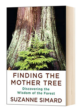 华研原版 寻访母树 英文原版 Finding the Mother Tree 比尔盖茨2021夏季书单 Simard Suzanne 英文版 进口英语书籍