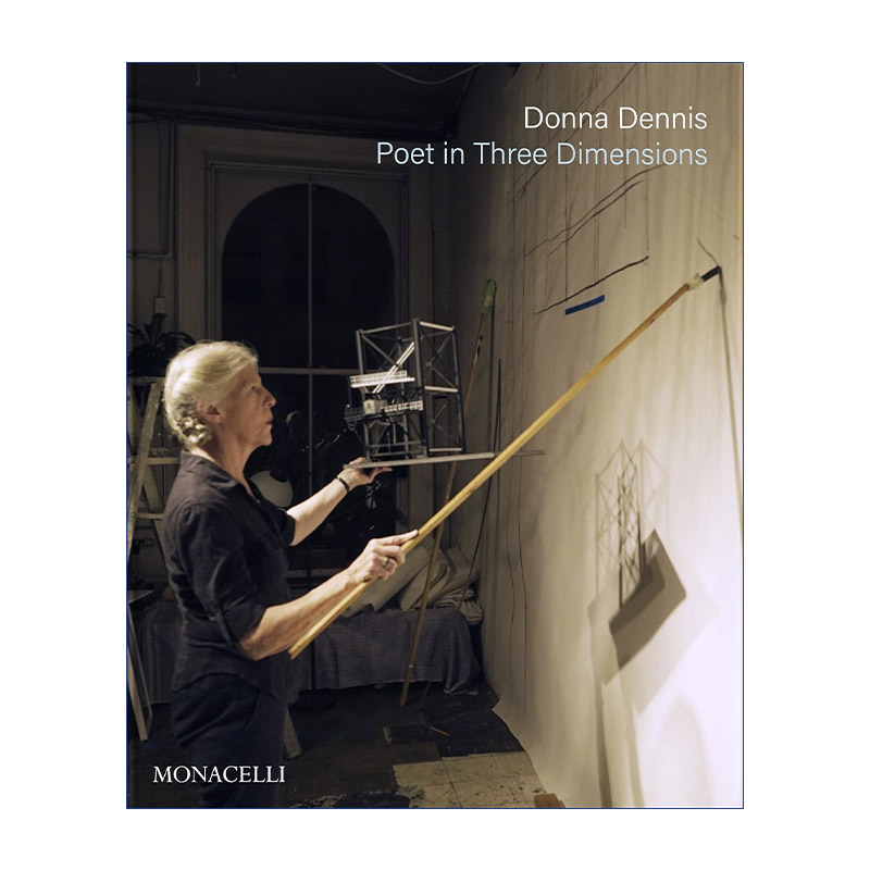 三维空间诗人 英文原版 Donna Dennis 美国大型装置艺术家唐娜·丹尼斯作品集 精装 英文版 进口英语原版书籍