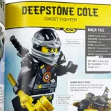 Оригинальная английская версия Энциклопедия персонажей LEGO NINJAGO Энциклопедия LEGO в твердом переплете Английская версия Импортированные оригинальные английские книги