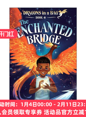 英文原版 The Enchanted Bridge Dragons in a Bag 04 魔法桥 袋子里的龙系列4 儿童奇幻小说 Zetta Elliott 进口英语原版书籍