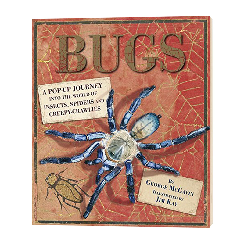 昆虫立体百科英文原版精装