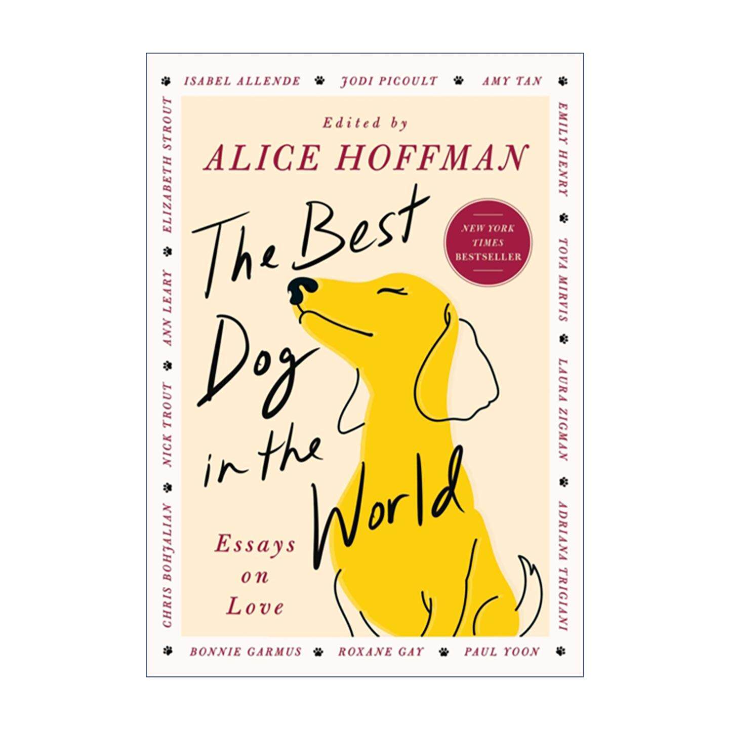 英文原版 The Best Dog in the World 世上好狗 关于爱的散文集 精装 Alice Hoffman 英文版 进口英语原版书籍