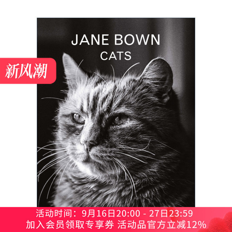 英文原版 Jane Bown Cats 简 ·鲍恩猫咪摄影 百幅黑白猫咪肖像 猫咪爱好者的精装摄影书 英文版 进口英语原版书籍