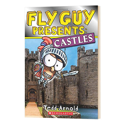 英文原版苍蝇小子#10城堡