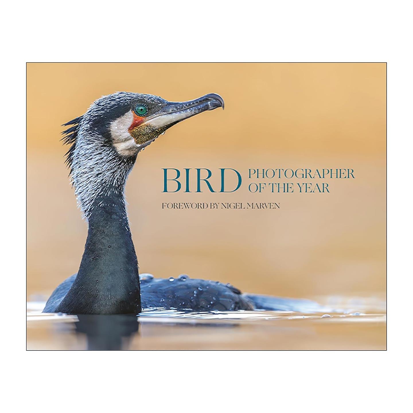 英文原版 Bird Photographer of the Year 年度鸟类摄影师大赛精选图册合集10 精装收藏版 观鸟 普林斯顿 英文版 进口英语原版书籍