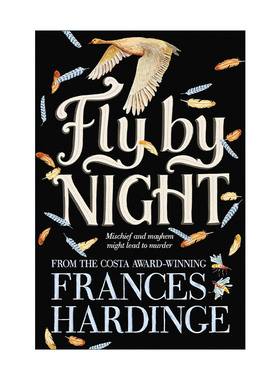 英文原版 Fly By Night 夜间飞行 弗朗西斯·哈丁 Frances Hardinge 英文版 进口英语原版书籍