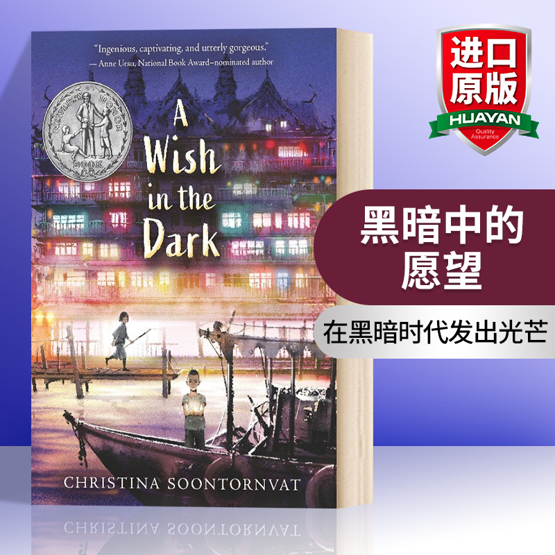 英文原版黑暗中的愿望
