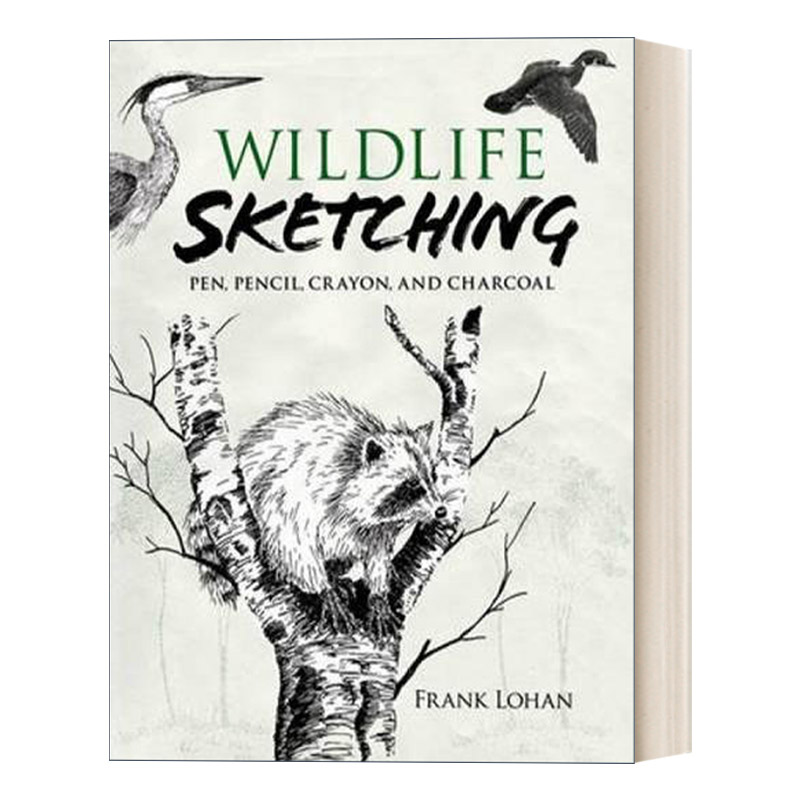 野生动物素描 英文原版 Wildlife Sketching 钢笔铅笔蜡笔和木炭画 英文版 进口英语原版书籍
