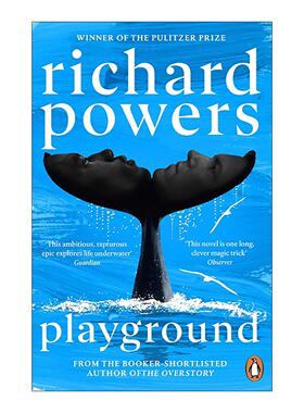 英文原版 Playground 我与海洋嬉戏之地 理查德·鲍尔斯新作 布克奖提名 英文版 进口英语原版书籍