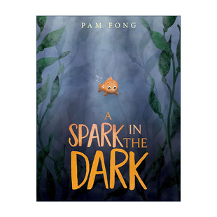 英文版 书籍 the 亮光 精装 黑暗中 Dark 进口英语原版 英文原版 图画书 Spark