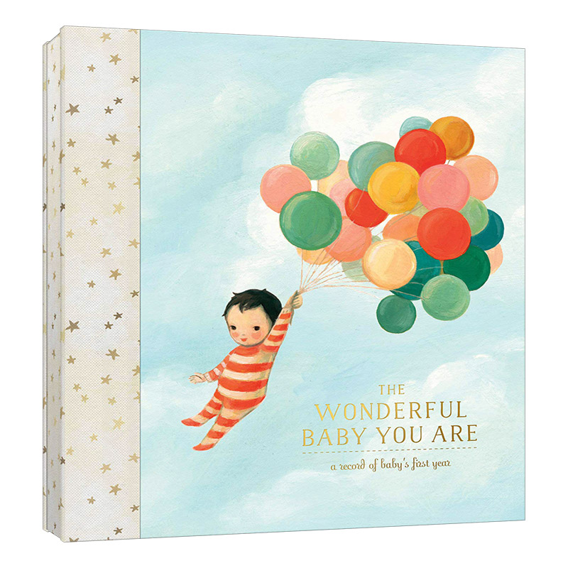 英文原版 The Wonderful Baby You Are: a Record of Baby's First Year 愿世间一切的美好都属于你 宝宝出生纪念册 英文版